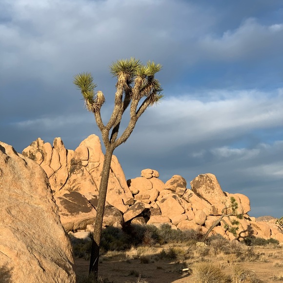 Meet your Posher, Debbie - Picture 1 of 1